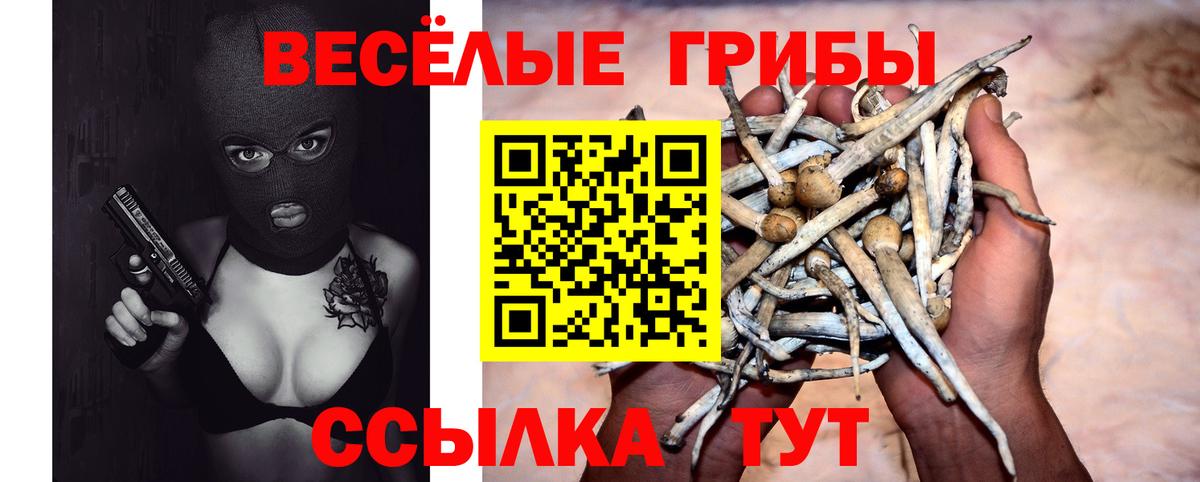 Псилоцибиновые грибы Cubensis  Вход с VPN  цена наркотик  Спасск-Дальний 